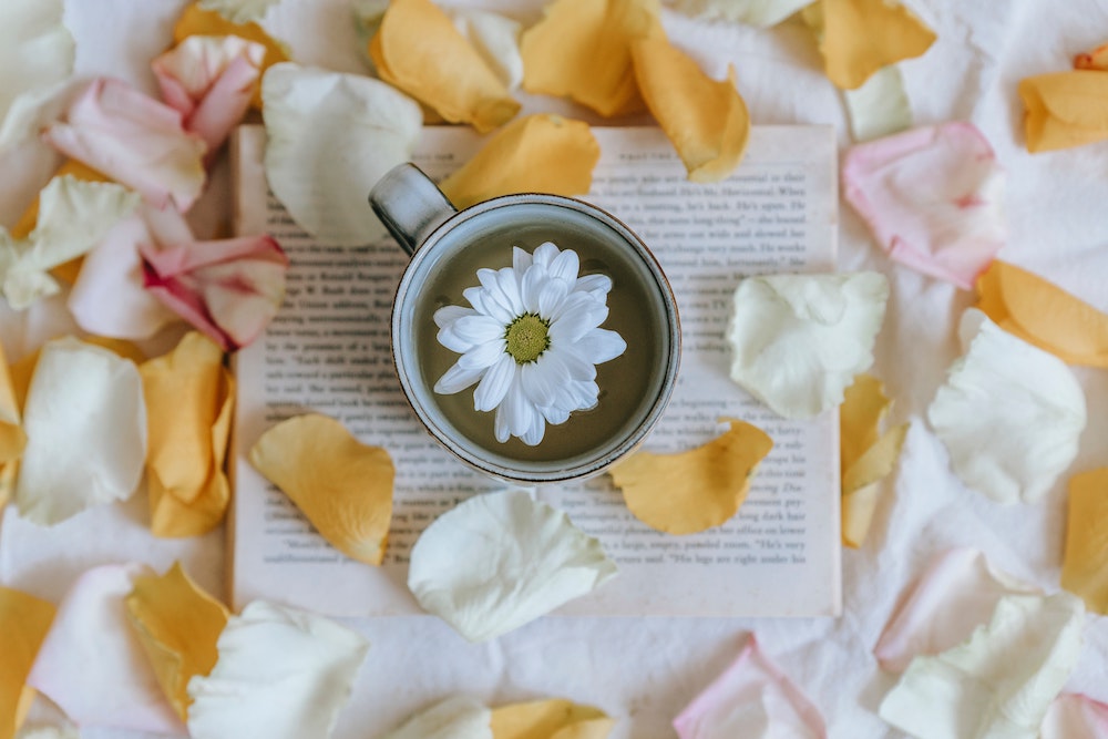 The Allure of White Tea: Subtle Grace and Unseen Health Benefits