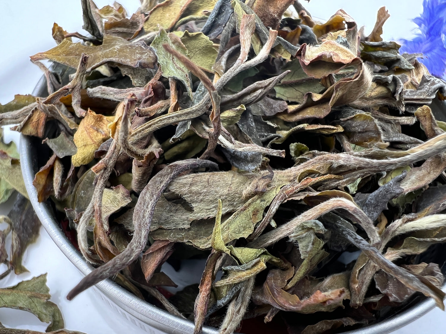 White Tea